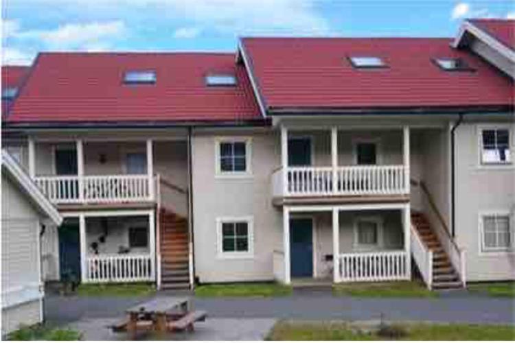 Sleep Well 1 Apartment Kongsberg Exterior photo